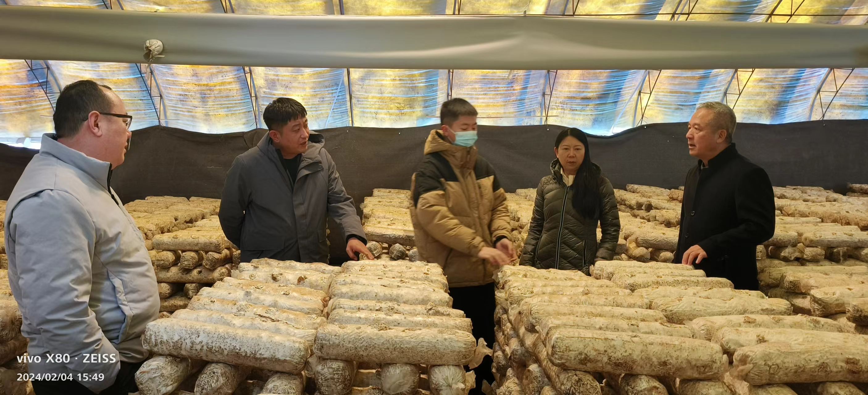 8参观新林镇香菇基地 (1).jpg