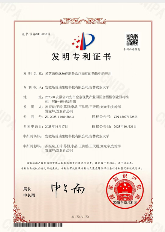 1763436081643930.jpg 26.jpg